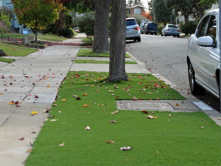 How To Install Artificial Grass La Jolla, California Landscape Design, Front Yard Landscaping