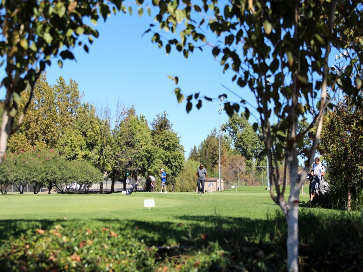 Installing Artificial Grass Alpine, California Diy Putting Green