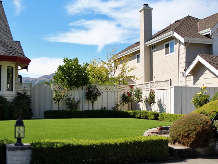 Installing Artificial Grass Borrego Springs, California Landscape Design, Front Yard