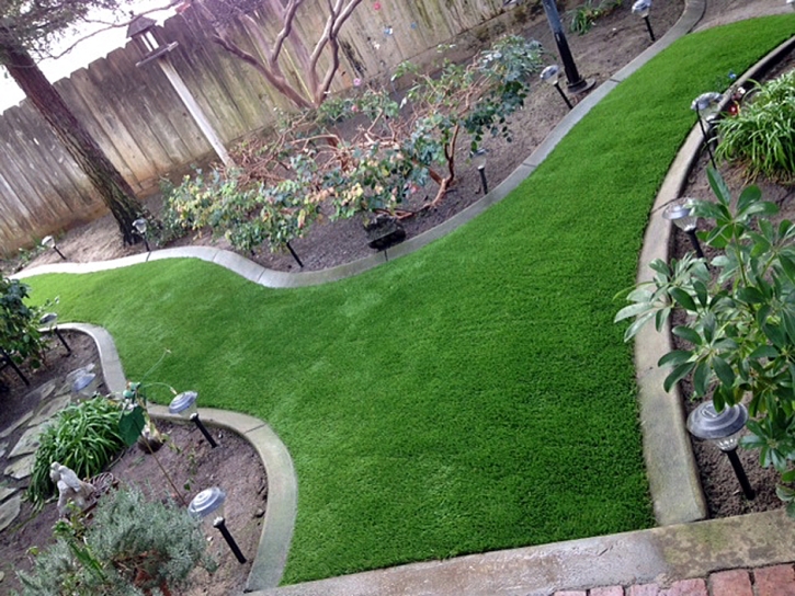 Installing Artificial Grass Brawley, California Landscape Photos, Backyard Ideas