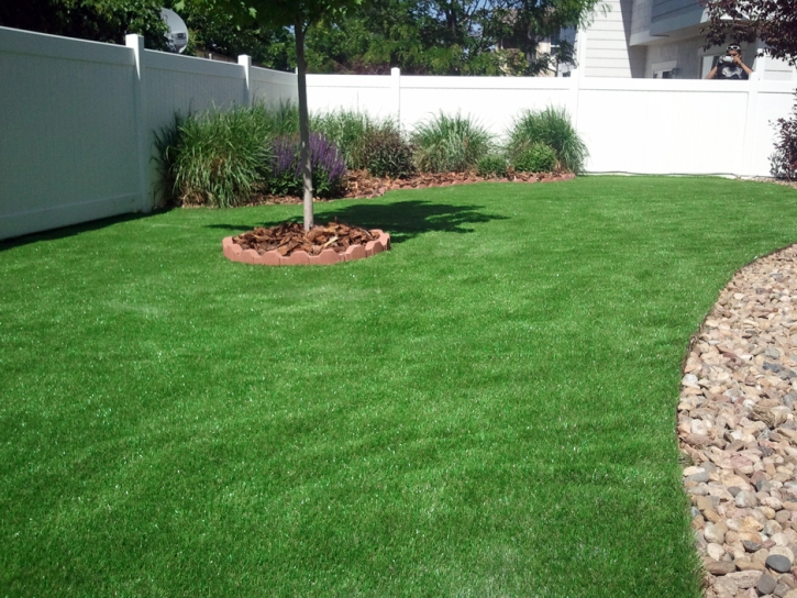 Installing Artificial Grass Lake San Marcos, California Landscape Ideas, Backyard Designs