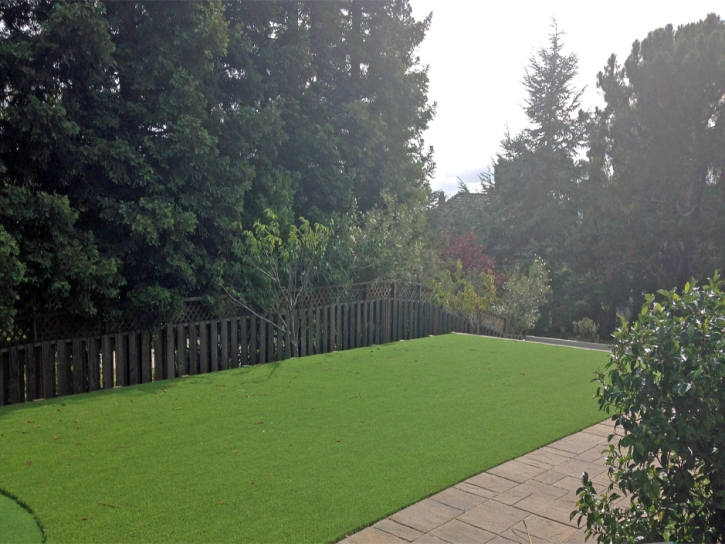 Installing Artificial Grass Niland, California Landscaping Business, Backyard Ideas