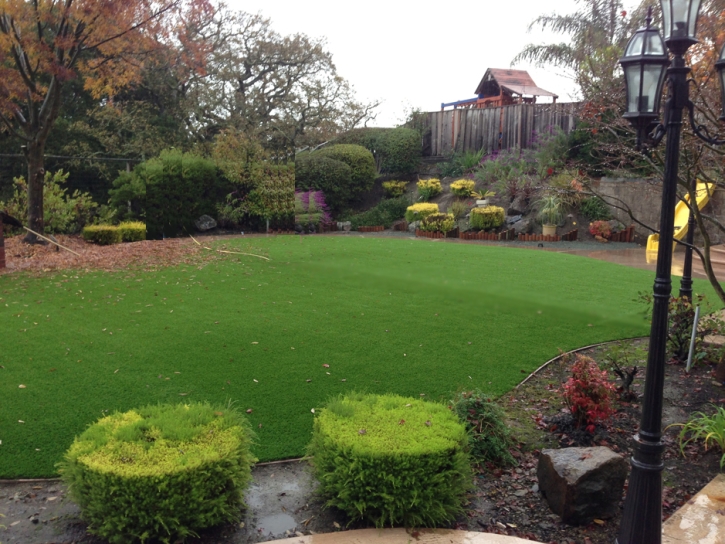 Installing Artificial Grass Rancho San Diego, California Landscaping, Backyard Design