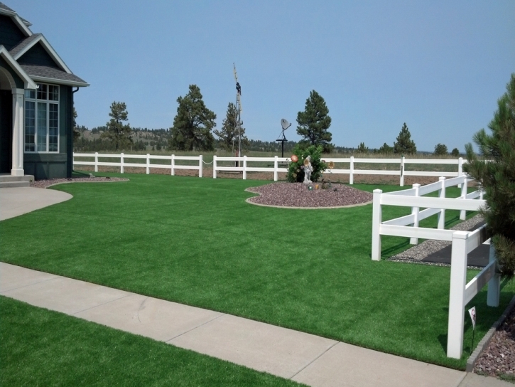 Installing Artificial Grass Salton City, California Lawn And Garden, Backyard Garden Ideas