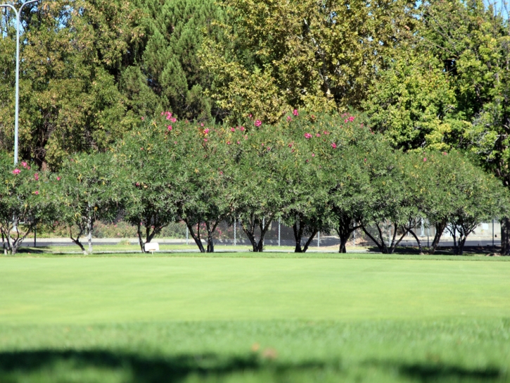 Installing Artificial Grass San Marcos, California How To Build A Putting Green