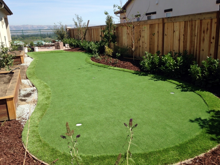 Lawn Services Campo, California Artificial Putting Greens, Backyard Designs