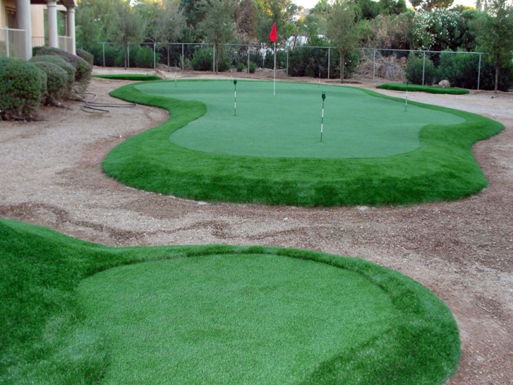 Lawn Services Encinitas, California Putting Green Flags, Backyard Designs