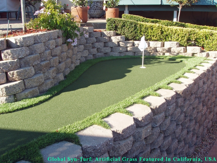 Lawn Services Holtville, California Indoor Putting Greens, Backyards