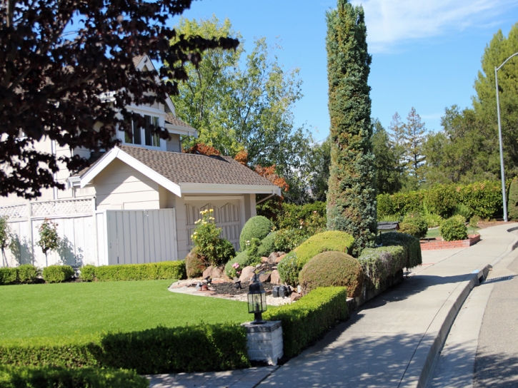 Lawn Services Holtville, California Landscaping Business, Front Yard Landscape Ideas