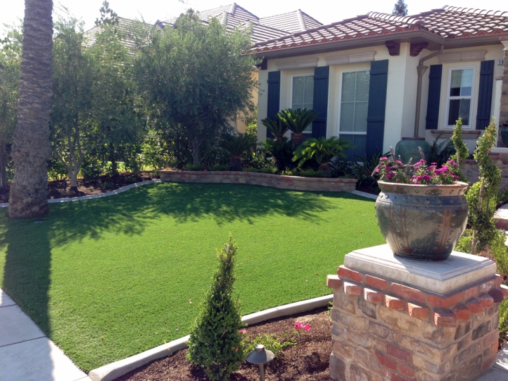 Outdoor Carpet Bonita, California Backyard Deck Ideas, Front Yard