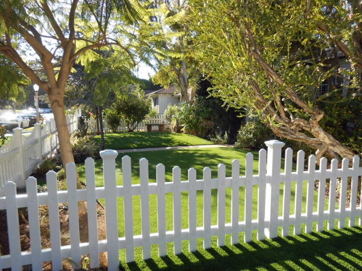 Outdoor Carpet Casa de Oro-Mount Helix, California Design Ideas, Front Yard Landscaping