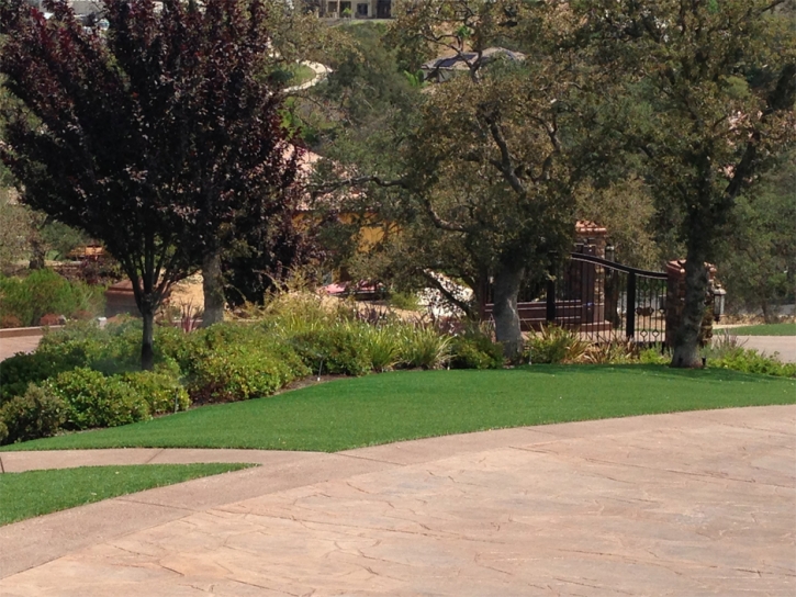 Outdoor Carpet Casa de Oro-Mount Helix, California Landscape Design, Backyard Garden Ideas