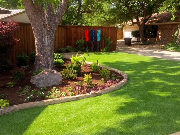 Outdoor Carpet Coronado, California Lawns, Backyard Designs