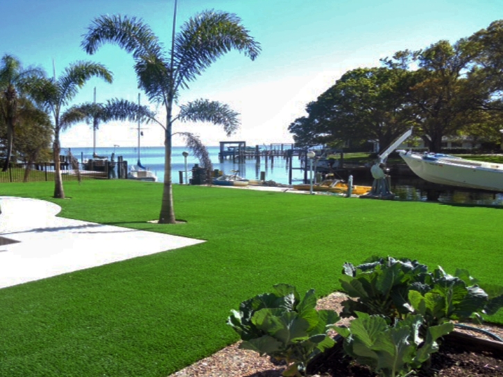 Outdoor Carpet Encinitas, California Design Ideas, Natural Swimming Pools