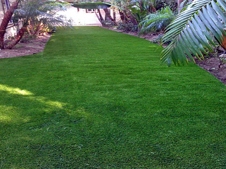 Outdoor Carpet Encinitas, California Rooftop, Backyard Designs