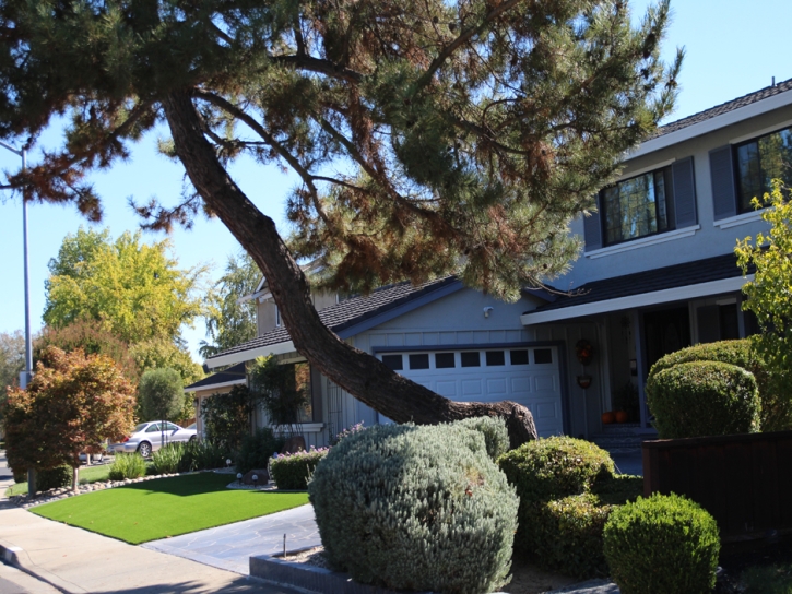 Outdoor Carpet Eucalyptus Hills, California Lawn And Landscape, Small Front Yard Landscaping