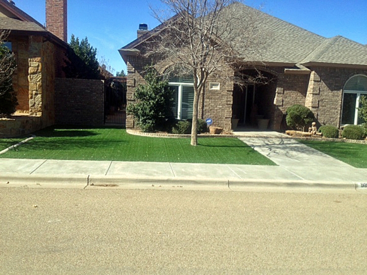 Outdoor Carpet Ramona, California Landscaping Business, Front Yard Landscape Ideas