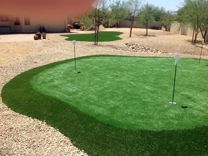 Outdoor Carpet San Diego, California Backyard Putting Green, Backyard Designs