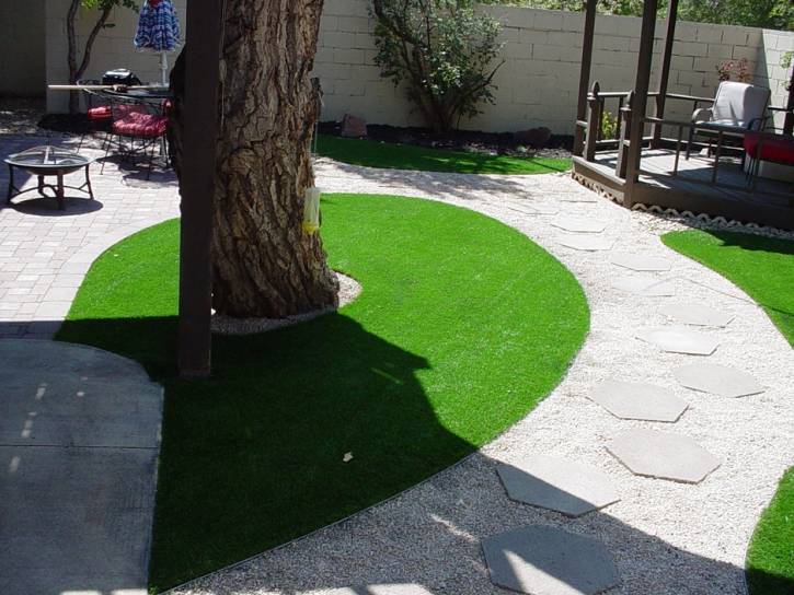 Outdoor Carpet Valley Center, California Design Ideas, Backyard Designs