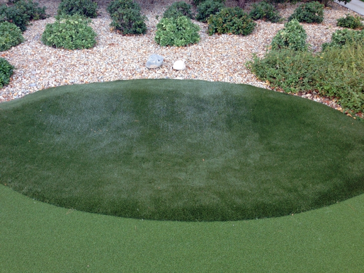 Plastic Grass Borrego Springs, California Landscape Ideas