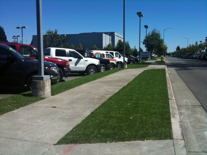 Plastic Grass Brawley, California Landscaping, Commercial Landscape