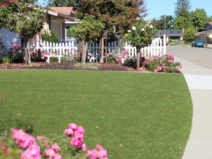 Plastic Grass Chula Vista, California Landscape Design, Landscaping Ideas For Front Yard