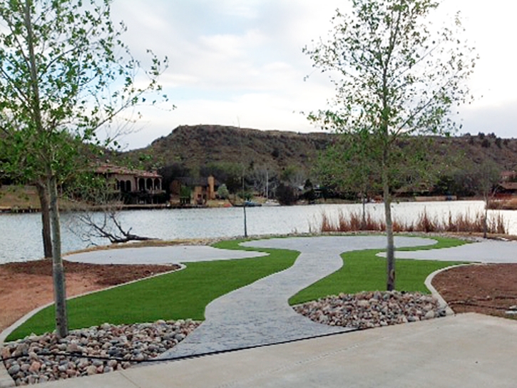 Plastic Grass Del Mar, California Backyard Playground