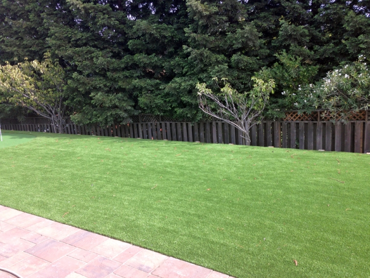 Plastic Grass La Presa, California Backyard Deck Ideas, Backyard Designs