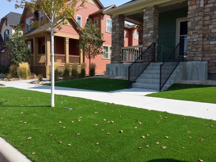 Plastic Grass Lakeside, California Gardeners, Landscaping Ideas For Front Yard