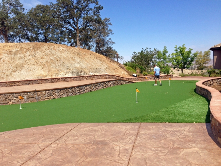 Plastic Grass Lakeside, California Indoor Putting Green, Beautiful Backyards