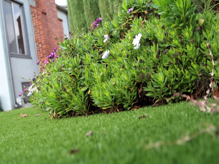 Plastic Grass Lemon Grove, California City Landscape, Front Yard Design