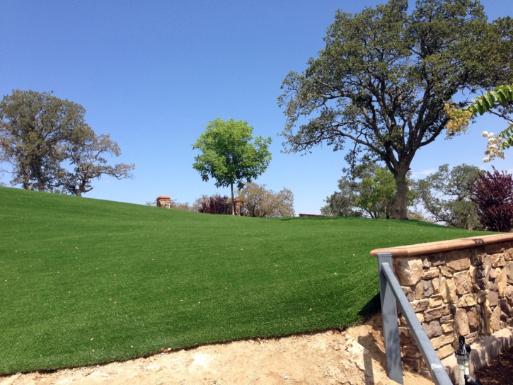 Plastic Grass Pine Valley, California Garden Ideas, Landscaping Ideas For Front Yard