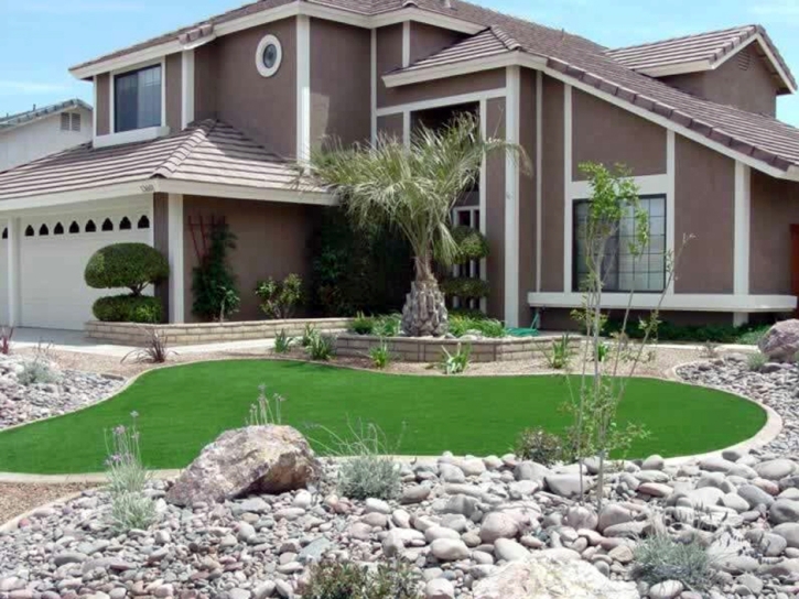 Plastic Grass Rancho San Diego, California Garden Ideas, Small Front Yard Landscaping