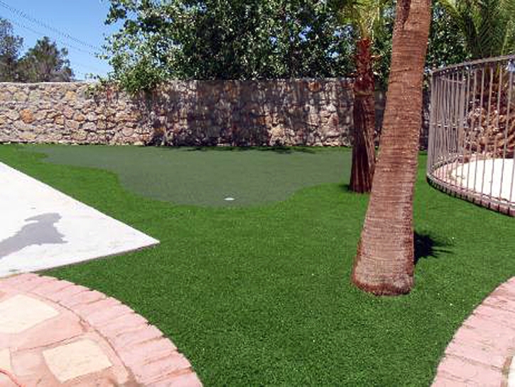 Plastic Grass San Diego, California Artificial Putting Greens, Beautiful Backyards