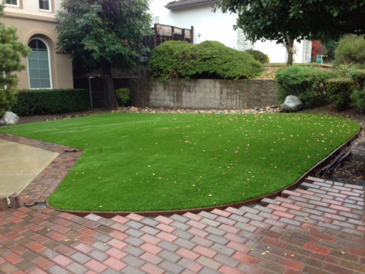 Plastic Grass San Marcos, California Landscape Design, Front Yard Design