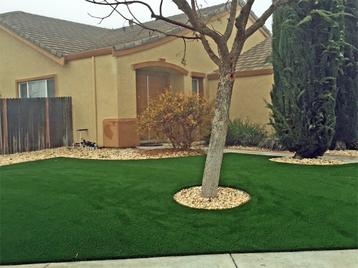 Plastic Grass Solana Beach, California Landscape Design, Landscaping Ideas For Front Yard