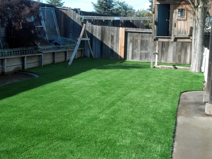 Plastic Grass Winter Gardens, California Lawn And Landscape, Backyard Designs