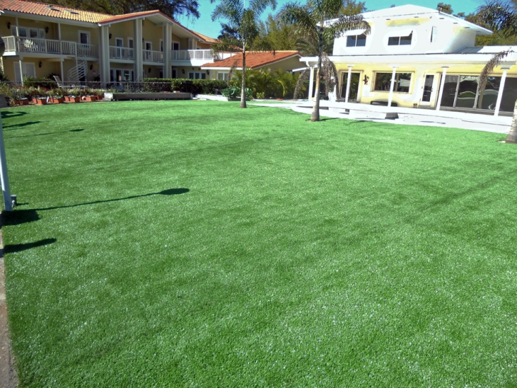 Synthetic Grass Brawley, California Landscape Design, Backyard Pool