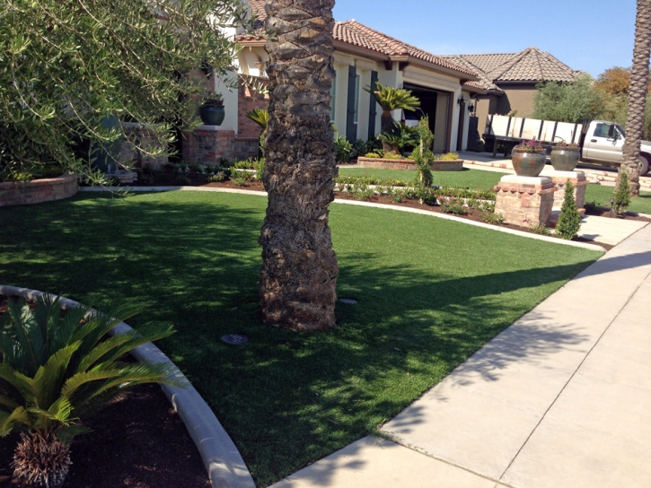 Synthetic Grass Brawley, California Landscaping, Small Front Yard Landscaping