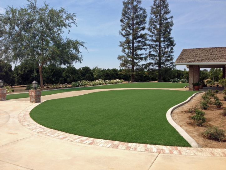 Synthetic Grass Camp Pendleton North, California Landscape Ideas, Small Front Yard Landscaping