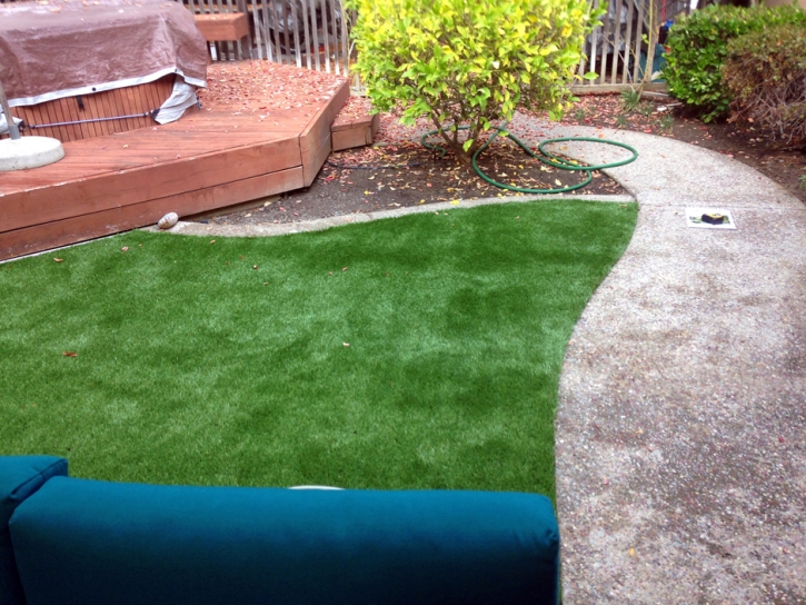 Synthetic Grass Cost Holtville, California Gardeners, Backyard Designs