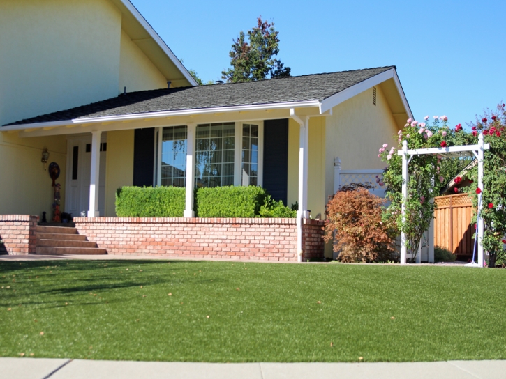 Synthetic Grass Cost San Diego, California Landscaping, Small Front Yard Landscaping