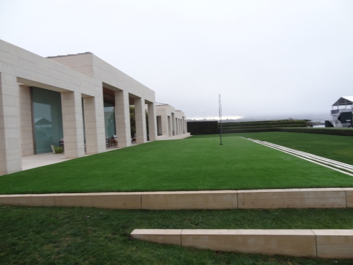 Synthetic Grass Cost Winter Gardens, California Rooftop, Commercial Landscape