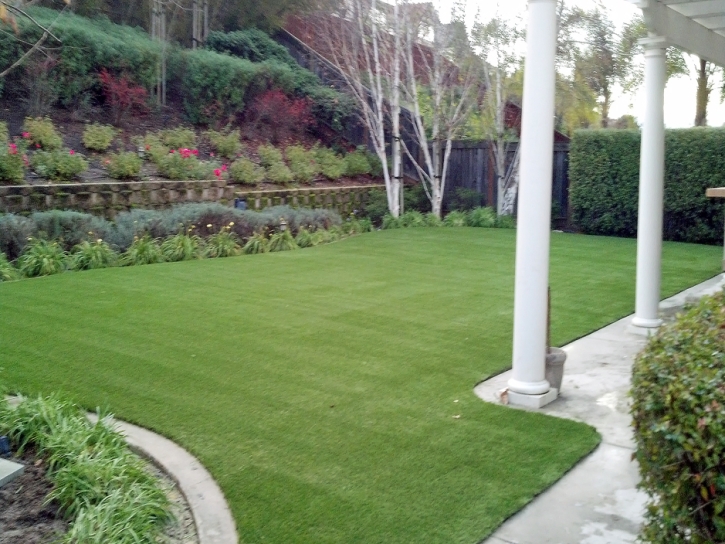 Synthetic Grass Encinitas, California Drainage, Backyard Ideas