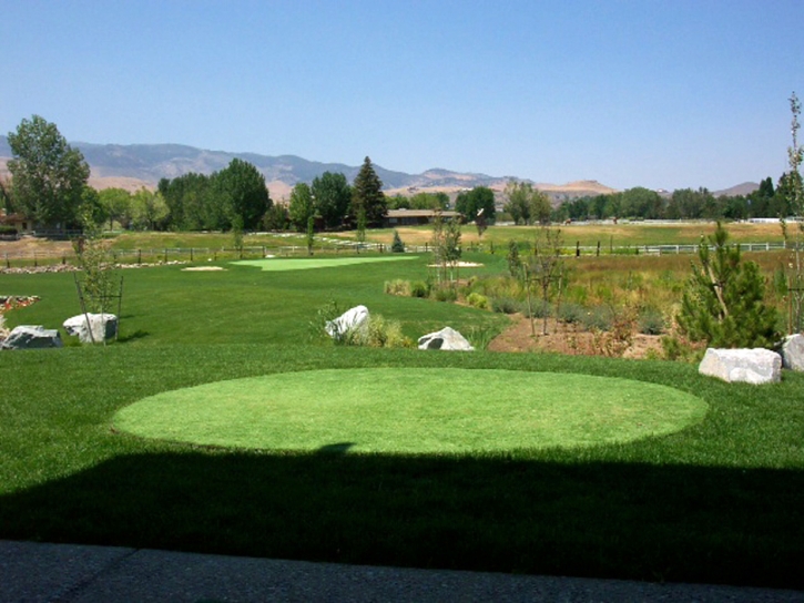 Synthetic Grass Julian, California Putting Green Flags, Backyard Ideas