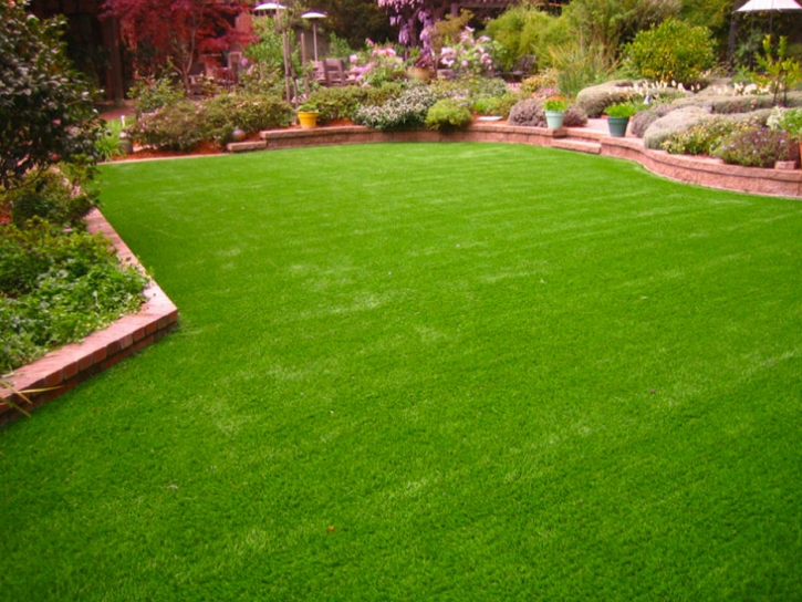 Synthetic Grass La Mesa, California Lawns, Backyard Designs