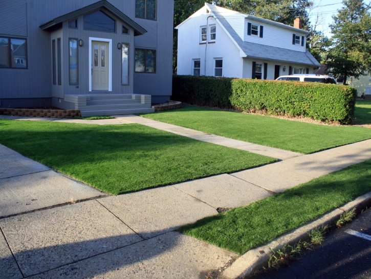 Synthetic Grass Oceanside, California Landscape Photos, Front Yard Landscape Ideas