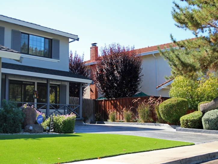 Synthetic Grass Pine Valley, California Landscaping Business, Front Yard Landscaping