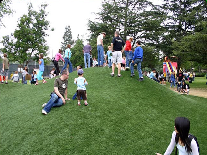 Synthetic Grass San Diego, California Backyard Playground, Parks