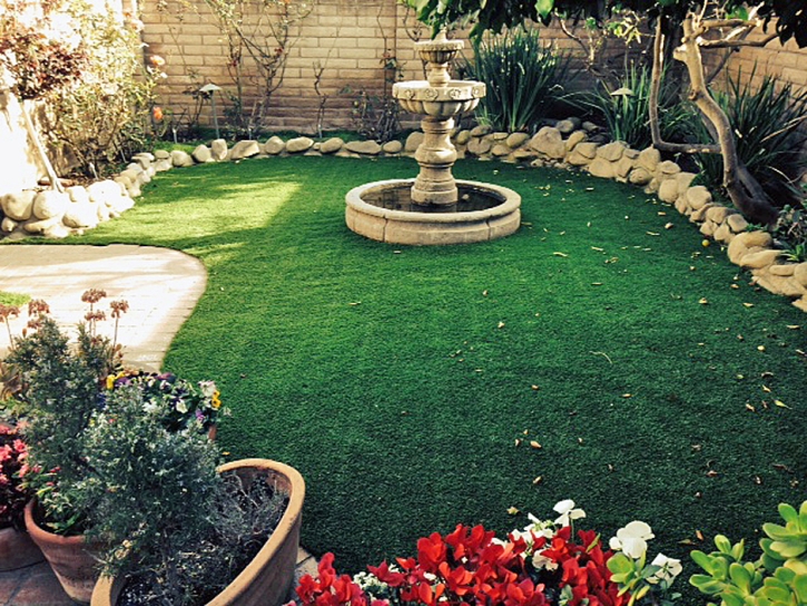 Synthetic Grass San Diego, California Home And Garden